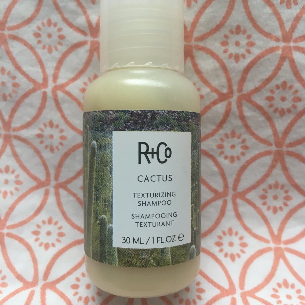 R+Co Cactus Texturizing Shampoo